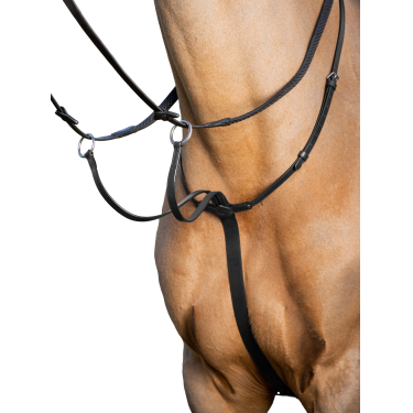 Martingaal met ringen LeMieux Arika Zwart / zilver