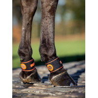 Kogelschaalbeschermer Magno LeMieux Zwart