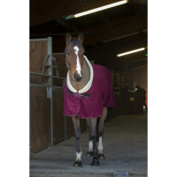 Chemise séchante Equithème Teddy Bordeaux / ecru Chemise séchante Equithème Teddy Bordeaux / ecru