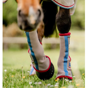 Guêtres anti-mouches Horseware Cerise / pêche / bleu