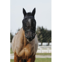 Halster + masker Equithème Zwart
