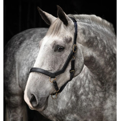 Halster Rambo Micklem Horseware Halster Rambo Micklem Horseware