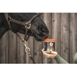 Aliment complémentaire Leovet Hamba Vet