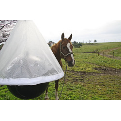 PIEGE A TAONS TAON X PIEGE A TAONS TAON X