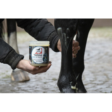 Gel refroidissant Leovet Cellsius Gel refroidissant Leovet Cellsius
