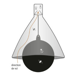 PIEGE A TAONS TAON X PIEGE A TAONS TAON X