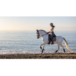 Tapis de selle LeMieux Earth Dressage Square Moss Marron Tapis de selle LeMieux Earth Dressage Square Moss Marron