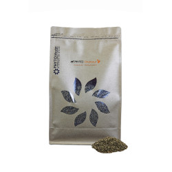Phyto Draineur Phyto Master