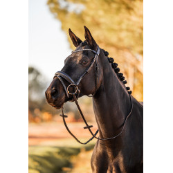 Anatomisch hoofdstel Horze Lockhart Zwart Anatomisch hoofdstel Horze Lockhart Zwart