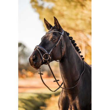 Anatomisch hoofdstel Horze Lockhart Zwart Anatomisch hoofdstel Horze Lockhart Zwart