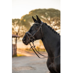 Bridon anatomique Horze Lockhart Marron café