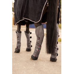 Transportbeschermers B Vertigo Wellington per 4 Vert scarabée