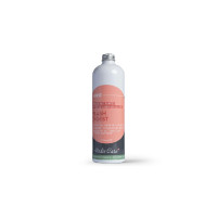 Aliment complémentaire Alodis Care Flash Digest Aliment complémentaire Alodis Care Flash Digest