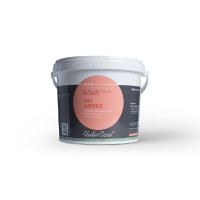 Argile Alodis Care Ali : rééquilibre et cicatrise