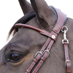 Bridon Flags & Cup Madrid Marron Bridon Flags & Cup Madrid Marron