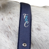 Set halster en lijn Varna Flags & Cup Taupe