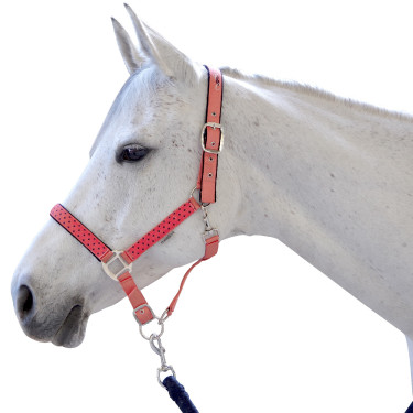 Set halster en lijn Varna Flags & Cup Taupe