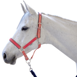 Set licol et longe Varna Flags & Cup Taupe