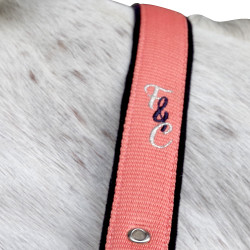 Set halster en lijn Varna Flags & Cup Taupe