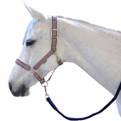 Set halster en lijn Varna Flags & Cup Taupe