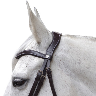 Bridon Canter Baloubet Bridon Canter Baloubet