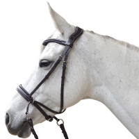 Bridon Canter bitless Evolution Bruin
