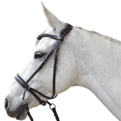 Bride pour cheval : anatomique, en cuir, pour du dressage