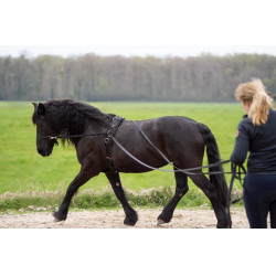 Lange teugels Imperial Riding Free Ride Lange teugels Imperial Riding Free Ride