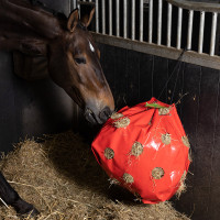 Hooinet Imperial Riding Apple Rood Hooinet Imperial Riding Apple Rood