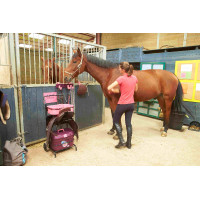 Rijdende Trolley Gm en Kist Box Pro Xl La Gée Granaat Bordeaux
