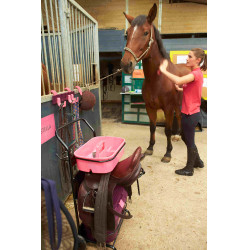 Servante Roulante Gm et Malle Box Pro Xl La Gée Grenat Bordeaux Servante Roulante Gm et Malle Box Pro Xl La Gée Grenat Bordeaux