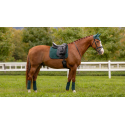 LeMieux Luxury polobandages LeMieux Luxury polobandages