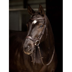 Bridon LeMieux Arika Duitse neusriem Bruin / zilver