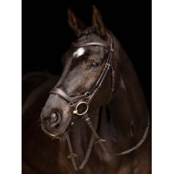 Bridon LeMieux Arika Duitse neusriem Bruin / zilver
