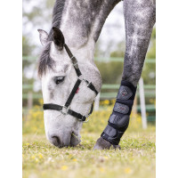 Licol Break Away LeMieux Licol Break Away LeMieux