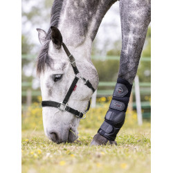 Licol Break Away LeMieux Licol Break Away LeMieux