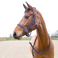 Halster en longe Cooper Horze Supreme Marineblauw Halster en longe Cooper Horze Supreme Marineblauw