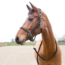 Halster en longe Cooper Horze Supreme Halster en longe Cooper Horze Supreme