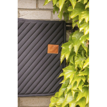 Tapis Diagonal Paddock Sports Tapis Diagonal Paddock Sports