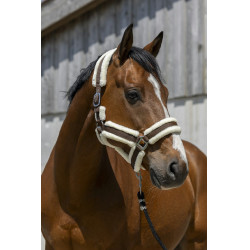 Halster Norton Cosy