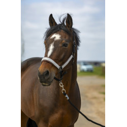 Halster Equithème Nylon Check Halster Equithème Nylon Check