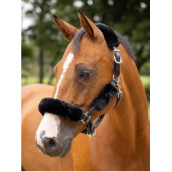 Halsterhoes LeMieux Simuwool Zwart