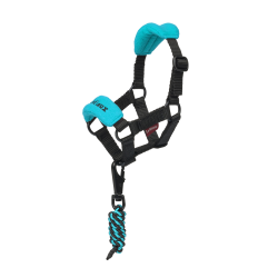 Vogue halster voor speelgoed Mini Pony LeMieux Azur Blauw Vogue halster voor speelgoed Mini Pony LeMieux Azur Blauw