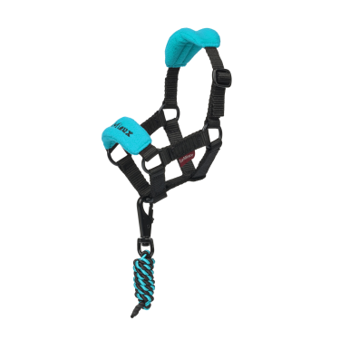 Vogue halster voor speelgoed Mini Pony LeMieux Azur Blauw Vogue halster voor speelgoed Mini Pony LeMieux Azur Blauw