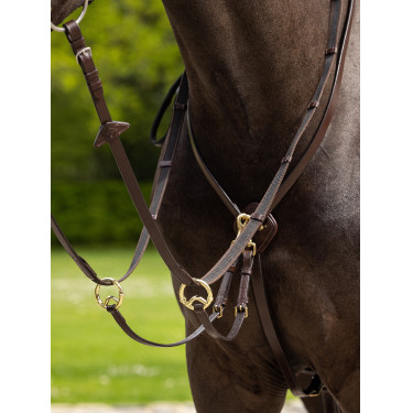 Martingaal met ringen Kudos LeMieux Havana / messing Bruin