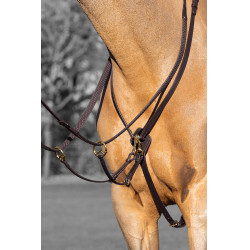 Martingaal met ringen Kudos LeMieux Havana / messing Bruin