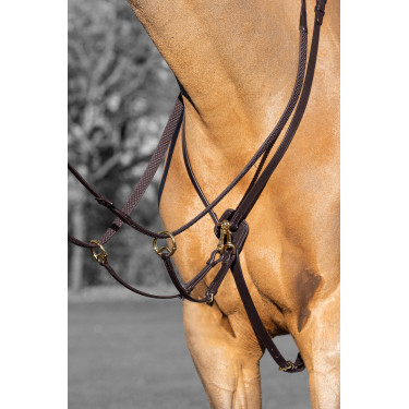 Martingaal met ringen Kudos LeMieux Havana / messing Bruin