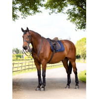 Tapis de travail LeMieux Dresssage Bleu marine