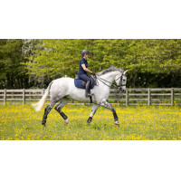 Tapis de travail LeMieux GP Mixte Bleu marine