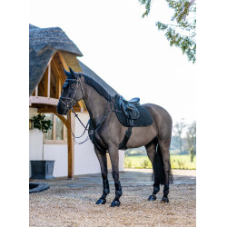 Tapis de travail LeMieux GP Mixte Noir